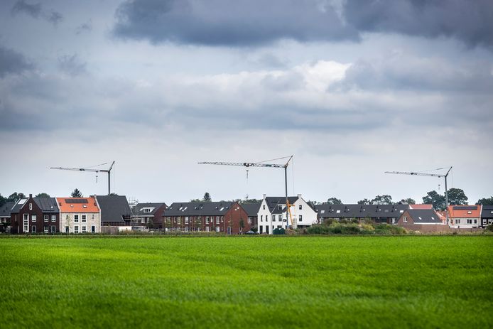 Woningbouw of weiland? Een van de dilemma's waar raadsleden voor komen te staan.