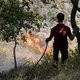 "Italiaanse bosbranden aangestoken door maffia"