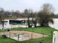 LIVE | Uiterwaarden en kades lopen onder: waterpeil in onze rivieren stijgt, Nijmegen sluit terreinen langs Waal