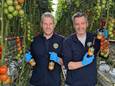 De Westlandse brouwers Marty Olsthoorn (links) en Ad Zwinkels met hun ZWOL Plukkie Al? lentebier in een tomatenkas.