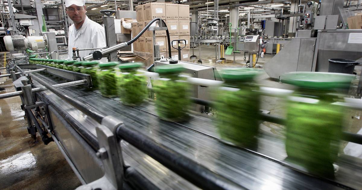 Waarom groenten wecken zo veel energie kost dat HAK noodgedwongen stopt met productie - BN DeStem