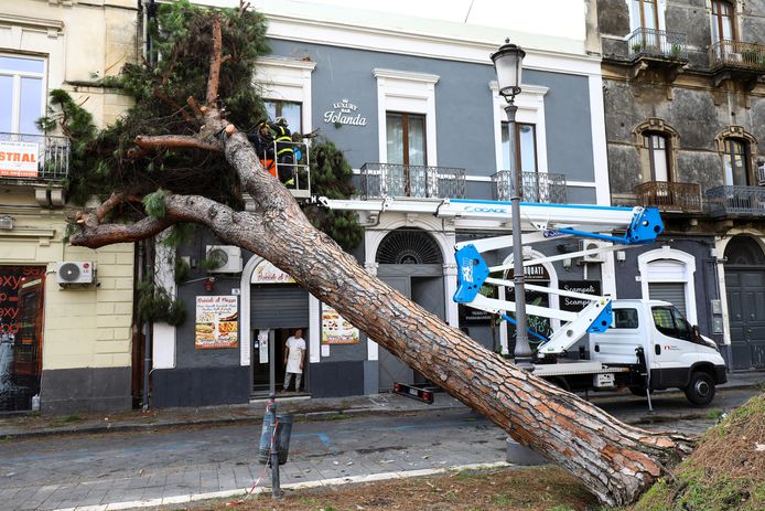 Brandweermannen in Catania proberen een ontwortelde boom uit de weg te ruimen.