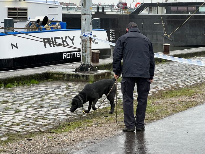 Een explosievenhond zoekt in de buurt van dansclub Ikon aan het Straatsburgdok naar sporen van een schietpartij.