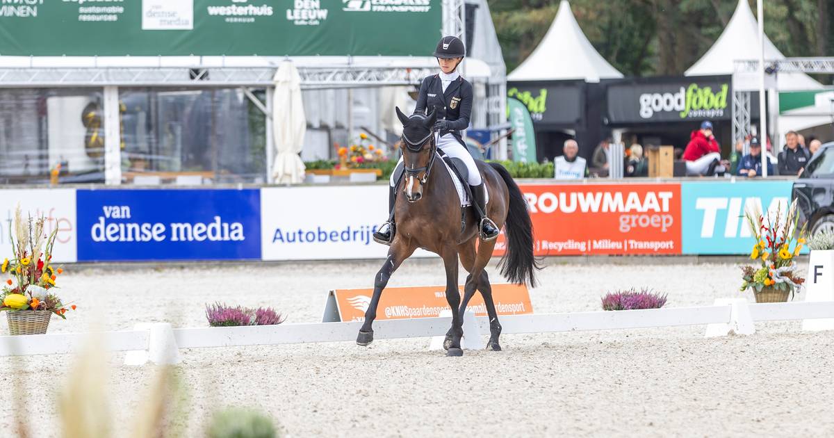 Olympiasiegerin Julia Krajewski führt Militär-Boekelo-Rangliste an |  Sport