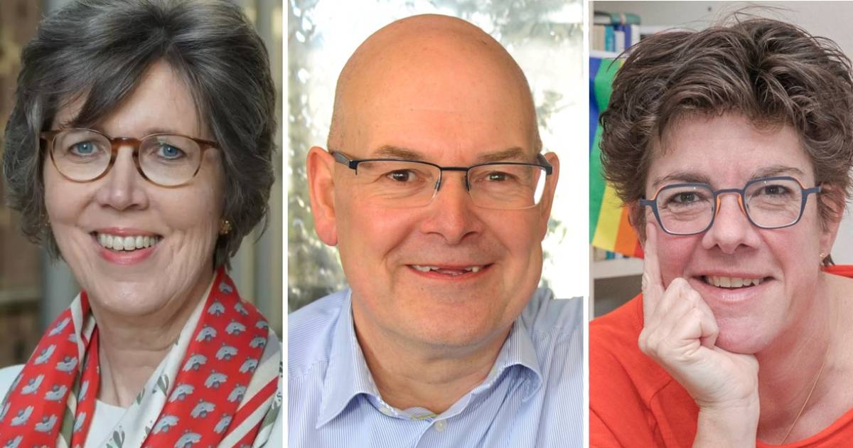 Werkdruk en stress raken ook Zeeuwse Kamerleden: 'Ik kijk niet meer op Twitter en Facebook' - BN DeS