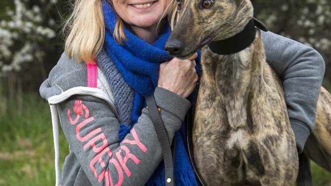 Linda De Ridder redt windhonden in Engeland