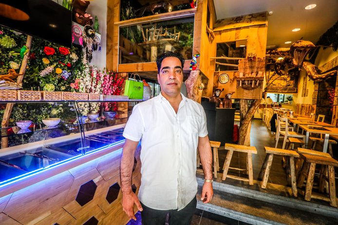 Lal Stanikzai moet verplicht de naam van Ohana Pokébowls in Brugge veranderen.
