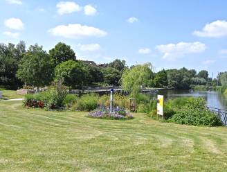 Voormalig skatepark wordt onthard 