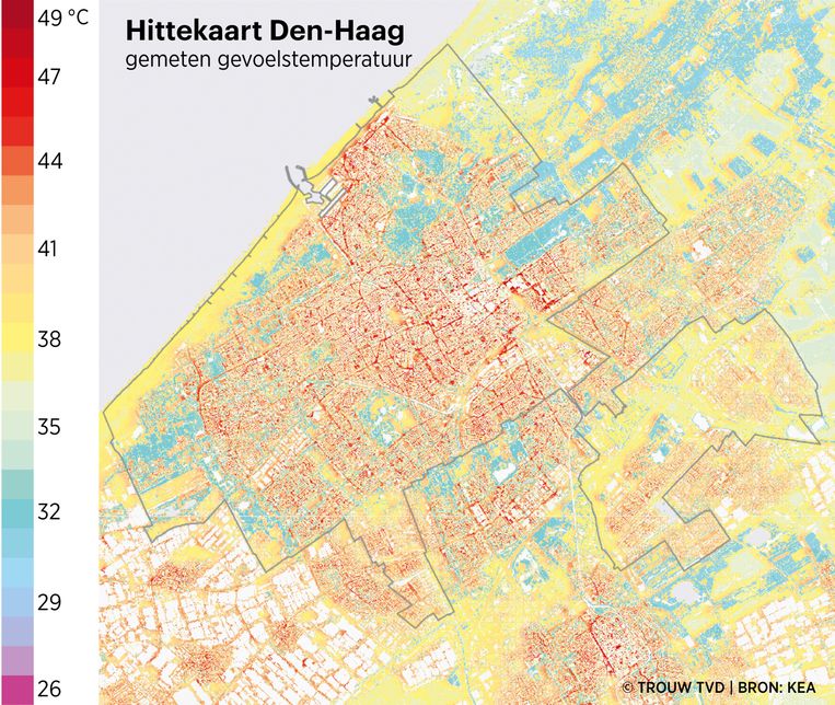 null Beeld Thijs van Dalen