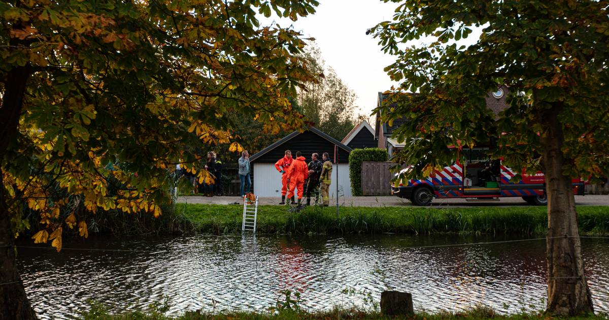 Overleden man (54) aangetroffen in water in Molenaarsgraaf: ‘Dit is zeer tragisch’