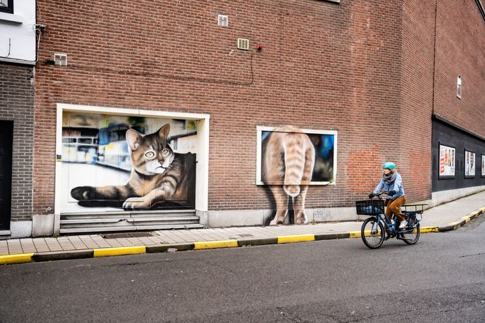 Waarschuwing Overstijgen Brein Niet van de poes, zo'n graffiti-kattenluik | Gent | hln.be