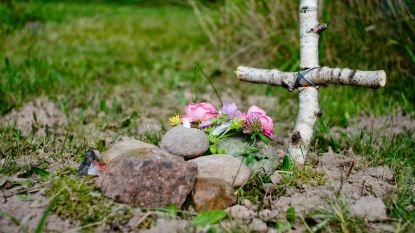 Sp.a wil dat huisdieren samen met baasjes begraven kunnen worden

