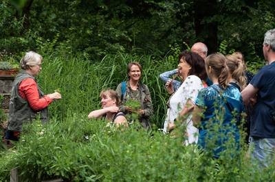 Ontdek de planten in De Groote Peel