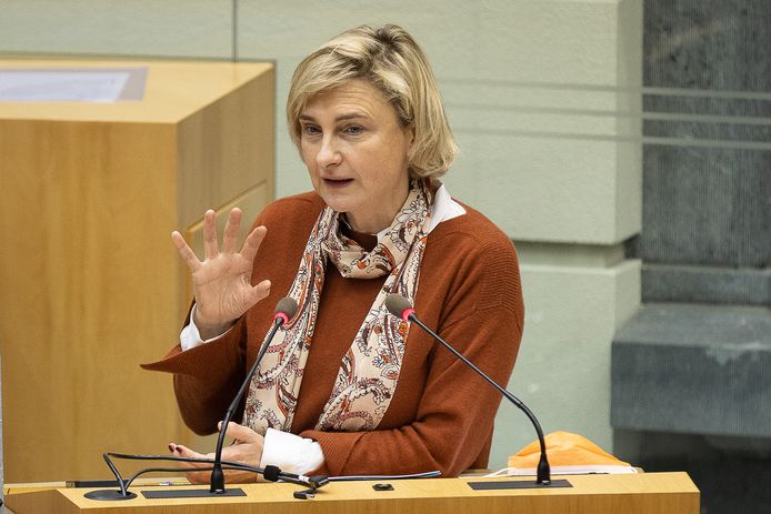 Hilde Crevits.
