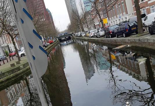 Boomsluiterskade in Den Haag waar de zwanen zijn weggenomen.