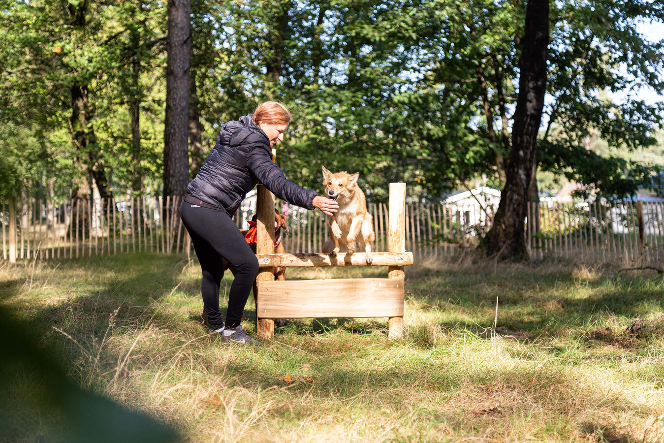 Recreatiepark Beekbergen is het eerste park van TopParken met een compleet ingerichte hondenspeeltuin.