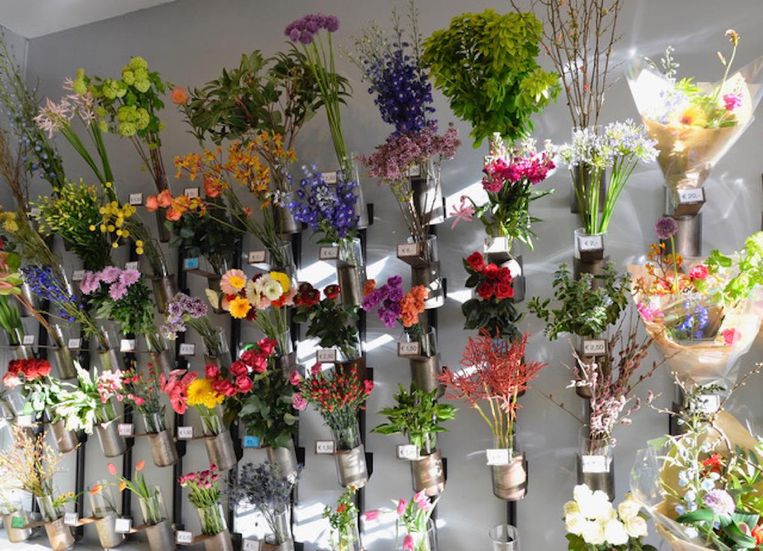 Rook In de naam Tussen Hier koop je de mooiste bloemen volgens Amsterdammers | Het Parool