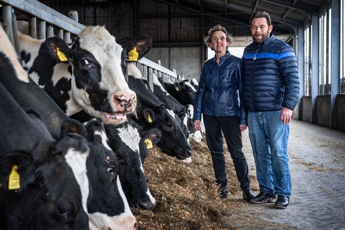Melkveehouders Herman en Anita Scholtens in 2021, toen de koeien nog in de stal stonden.