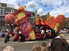 Duizenden mensen vergapen zich aan bloemenpracht Valkenswaard
