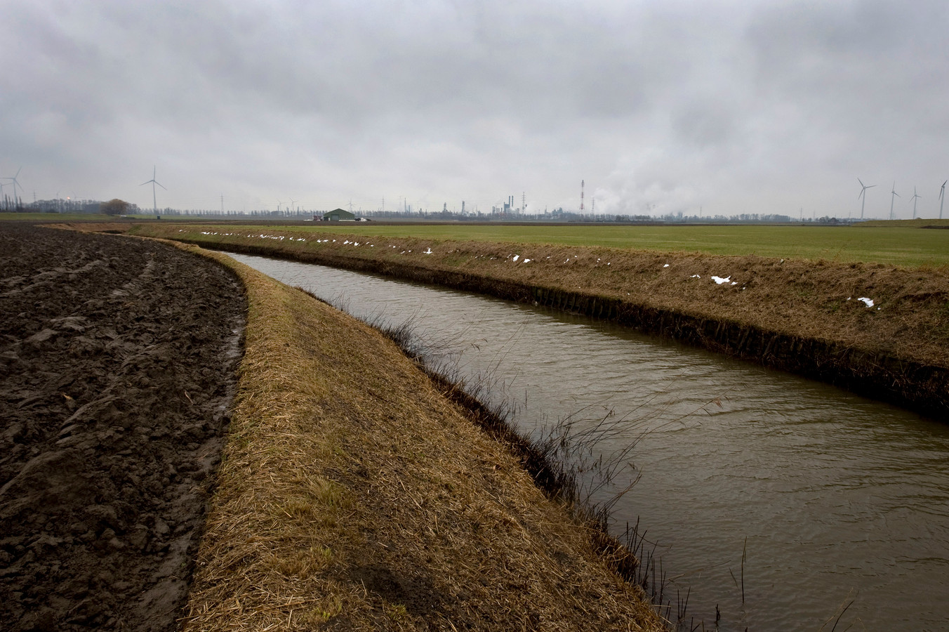 De Kabeljauwbeek in de polders bij Ossendrecht is de locatie waar Eneco al jaren vijf windturbines neer wil zetten. Woensdag vernietigde de Raad van State echter de vergunning.