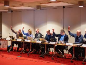 N-VA wil dat stedenband met Oekraïense gemeente wordt onderzocht: “Meewerken aan heropbouw is logische stap”