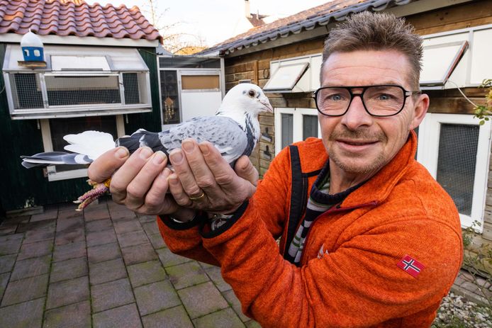 Duivenhouder Louis van Zuijlen uit Rosmalen.