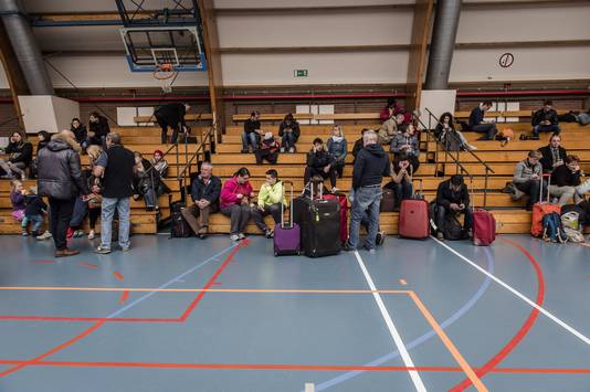 Reizigers worden opgevangen in een sportzaal bij Zaventem.