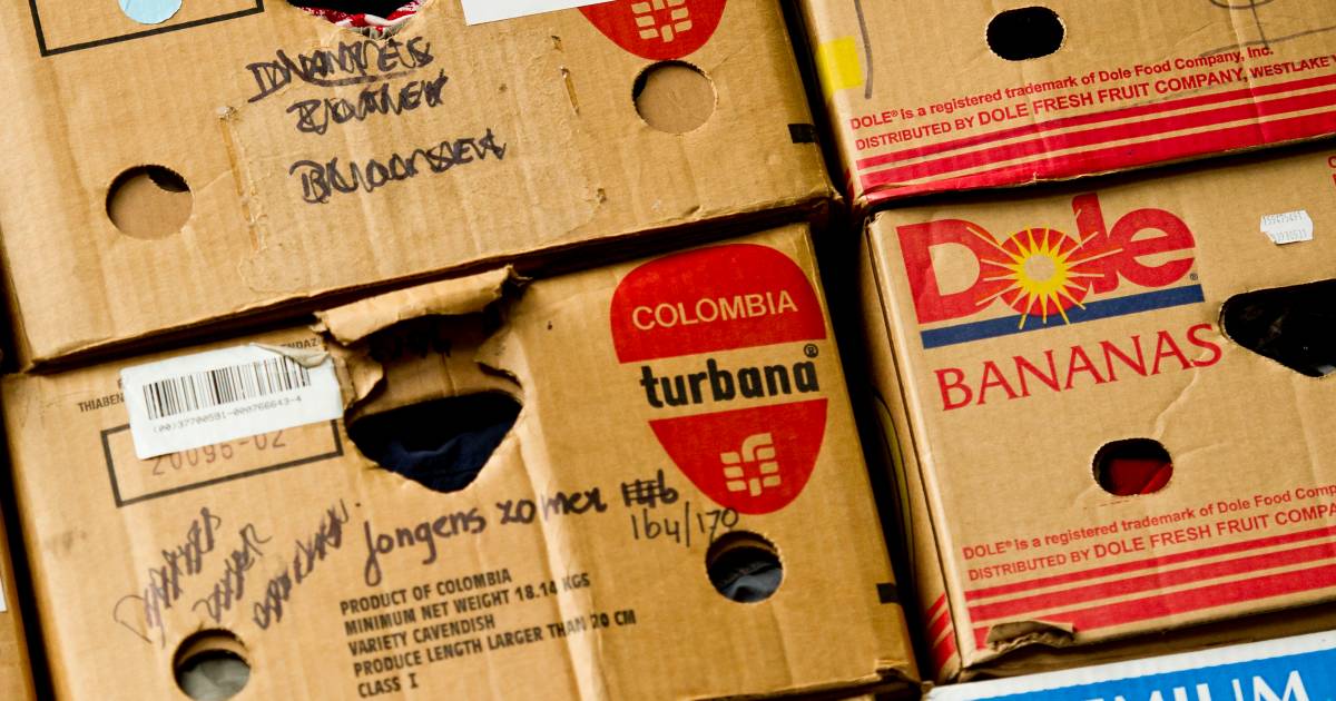 Prijs oud papier keldert verenigingen en scholen in Drenthe en Groningen stoppen met ophalen