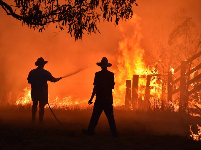 Al 1,1 miljoen hectare grond verwoest bij bosbranden in Australië, nog meer bewoners geëvacueerd