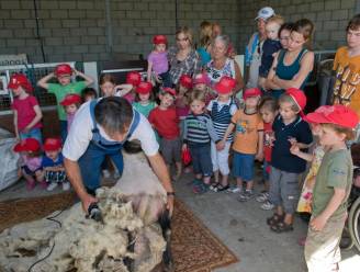 Van een kerstshow tot bezoek aan een kinderboerderij: 7 leuke activiteiten voor kinderen tijdens de kerstvakantie in Brugge en aan de kust
