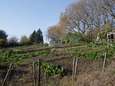 Une lueur d’espoir pour les 77 locataires des potagers du Thier-à-Liège