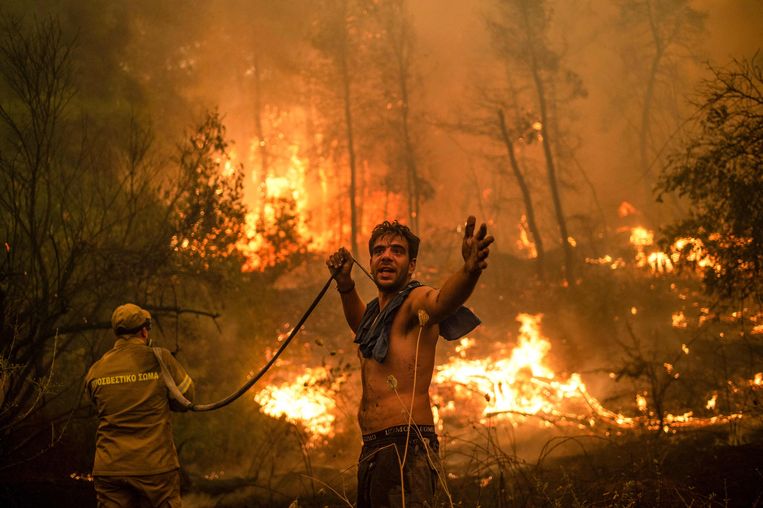 Een bosbrand in het dorp Pefki op het Griekse eiland Evia.  Beeld AFP