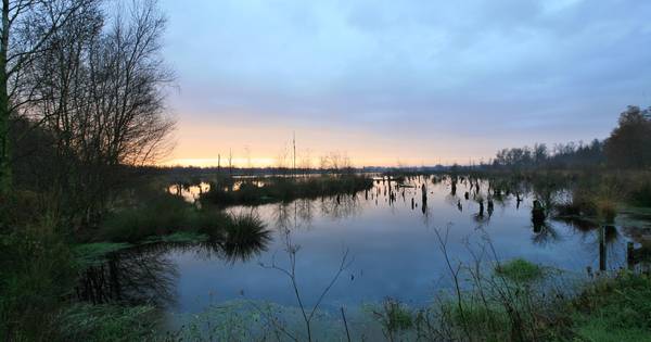 Hoogveenfestival sluit werk aan Peel in Helenaveen en Ospel af