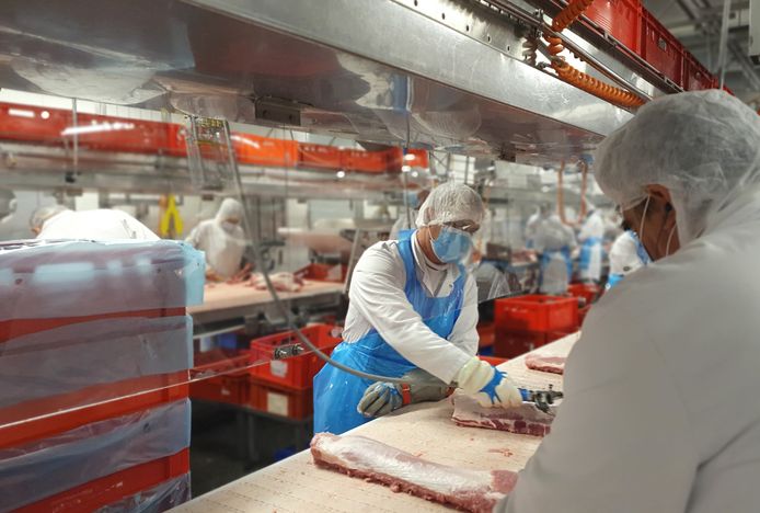 Medewerkers van het vleesverwerkend bedrijf Tönnies in Noordrijn-Westfalen. De firma moest een tijdlang dicht na een uitbraak van het coronavirus onder het personeel.