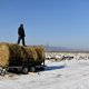 Chinese boeren verhuizen naar het lege oosten van Rusland