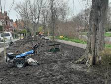 1036 klachten, maar het kan bijna niet beter met het groenonderhoud op Schouwen-Duiveland;