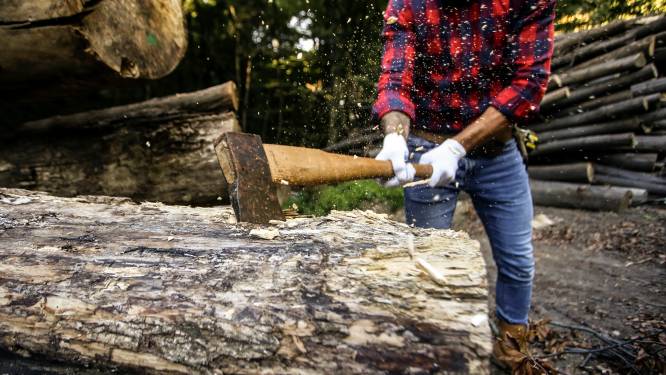 Ook houtsector vindt nog moeilijk personeel