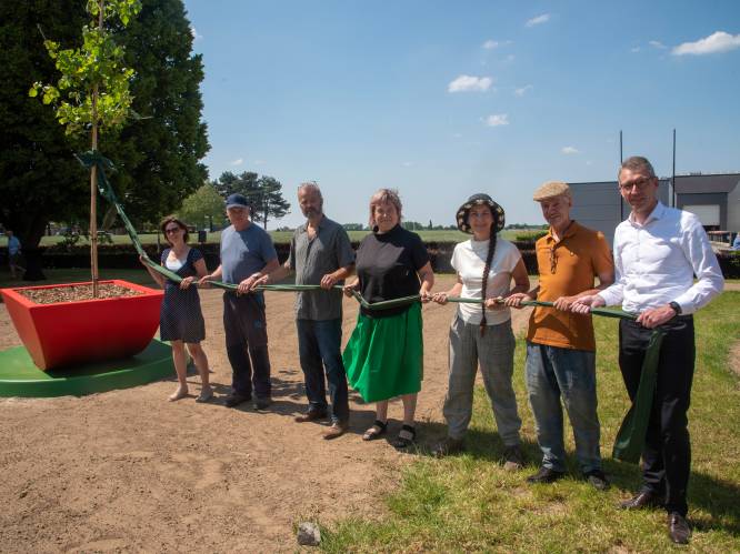 EquilArbe is een levend en uitdagend nieuw kunstwerk op ILVO site: “Benieuwd hoe de bomen zich binnen tien jaar in de pot zullen ontwikkelen” 