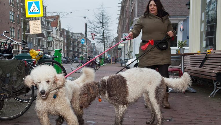 Op de stoep van de Spaarndammerstraat komt alles bij elkaar: honden, kratfietsen en hippe horeca Beeld Julie Hrudova