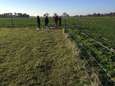 Hellendoorns wolf-proof raster is eerste in Overijssel