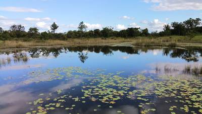 Wandelen met het IVN langs restanten uit de ijstijd