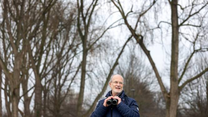 Roeken kunnen voorlopig in de boom blijven zitten: rechter zet streep door kap van bomen