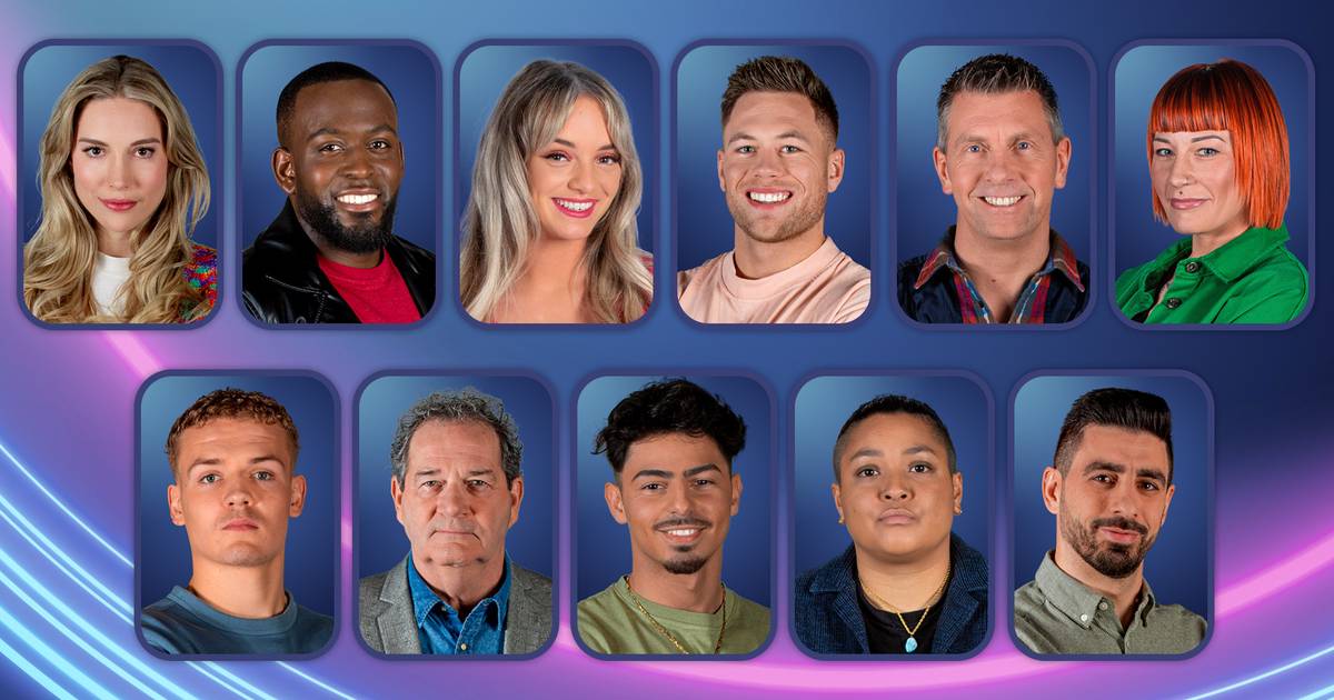 Big Brother 2025 Facebook Belgie Nederland