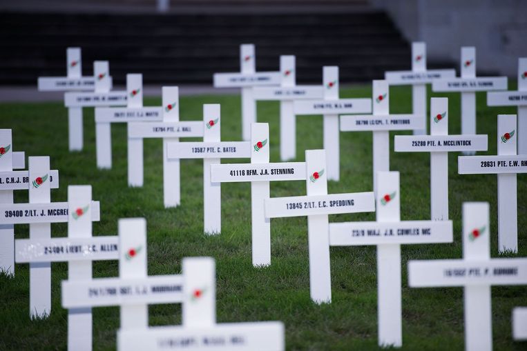 Honderd witte kruizen met de namen van slachtoffers van de Eerste Wereldoorlog in Wellington in Nieuw-Zeeland. Beeld afp