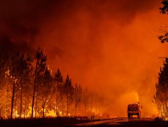 Bijna 9,3 miljoen hectare bos vernield door bosbranden in 2021