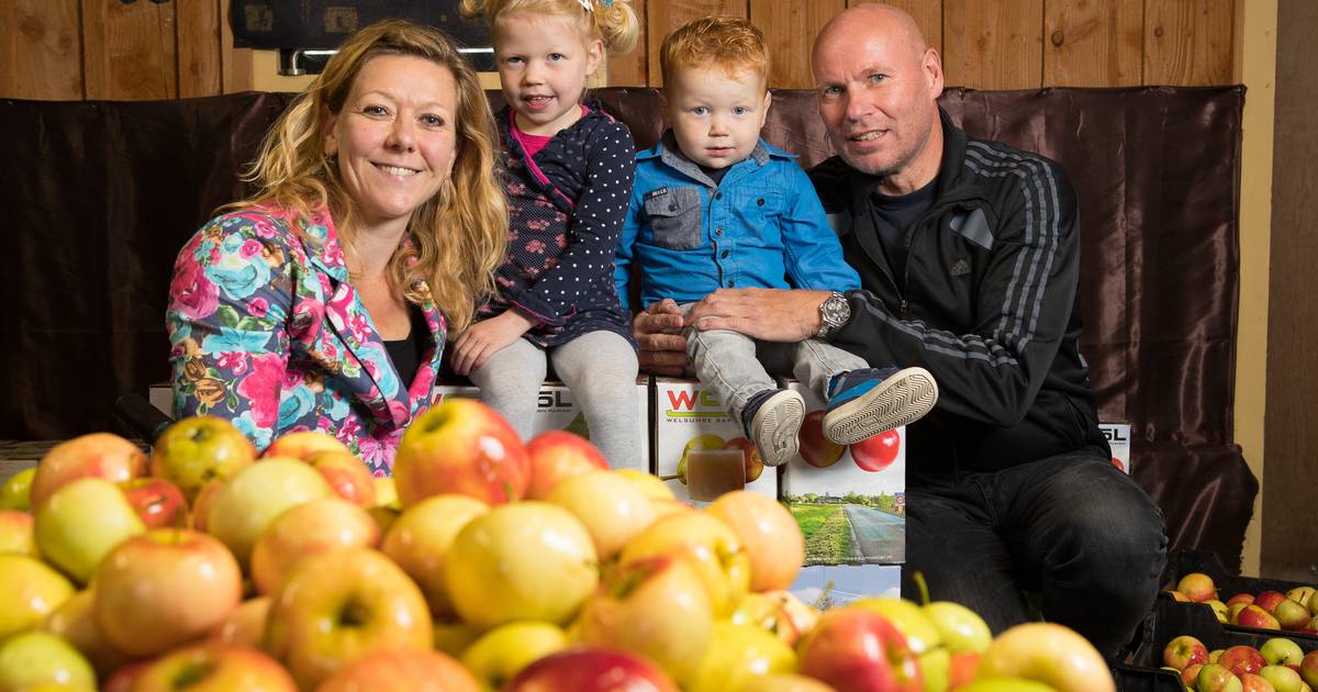 Het gaat weer hartstikke goed met Boaz | Olst-Wijhe