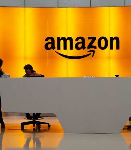 Webgigant Amazon verdubbelt winst