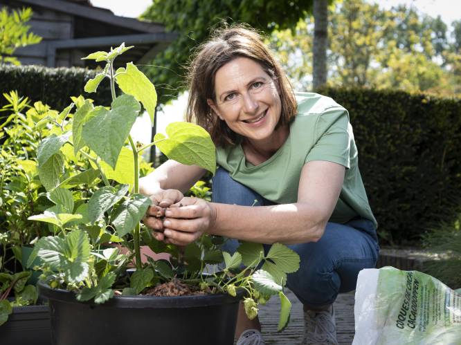 “Bramen groeien aan een prachtige klimplant.” Onze tuinexperte toont welk zomerfruit je in een pot op je terras kan kweken