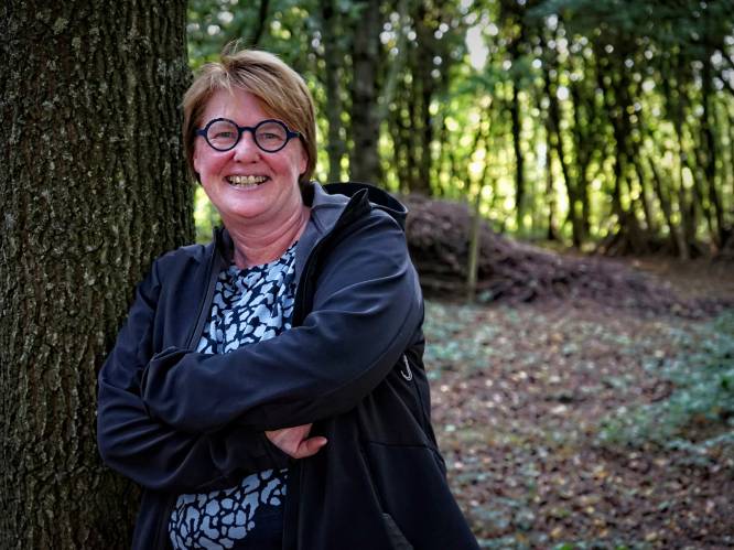 Stad viert 70 jaar Markant Wervik Wervik hln.be