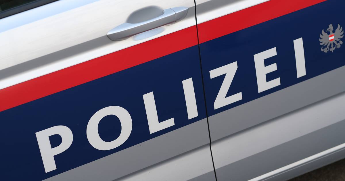Austrian police catch two Germans with fourteen human skulls in the trunk |  Abroad